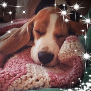 Meet your Posher, Deborah